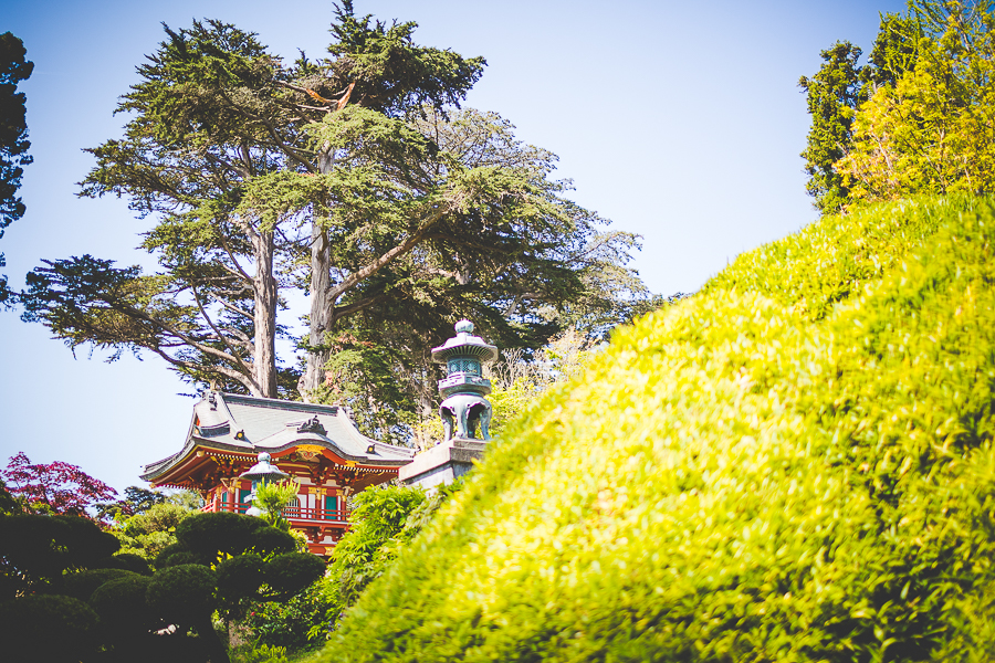 Family Trip to San Francisco | lissachandler.com -9