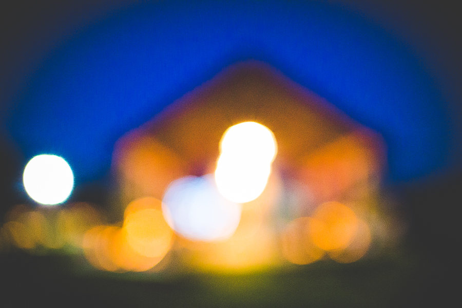 Rose Wedding - Blog Post-30 April Wedding at a Lake - lissachandler.com