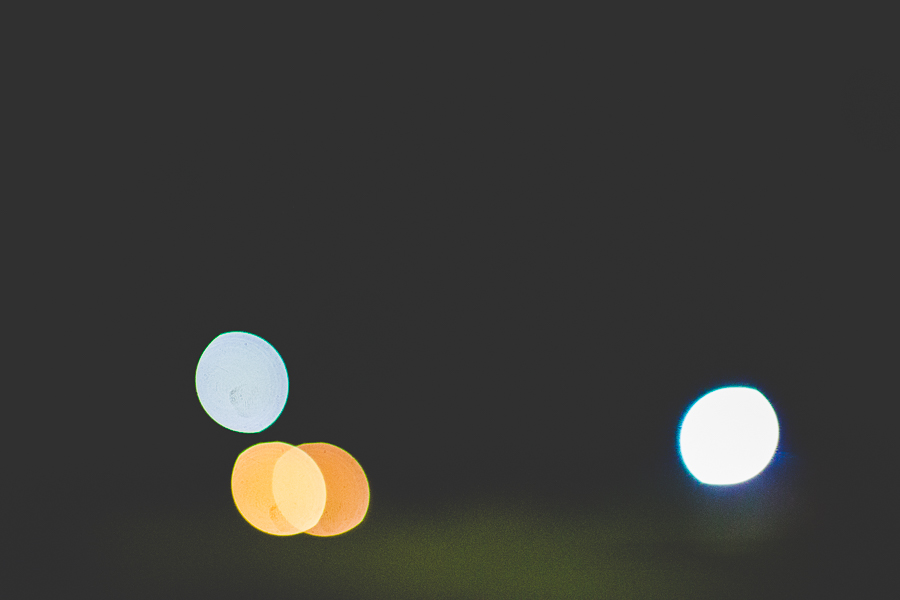 Rose Wedding - Blog Post-40 April Wedding at a Lake - lissachandler.com