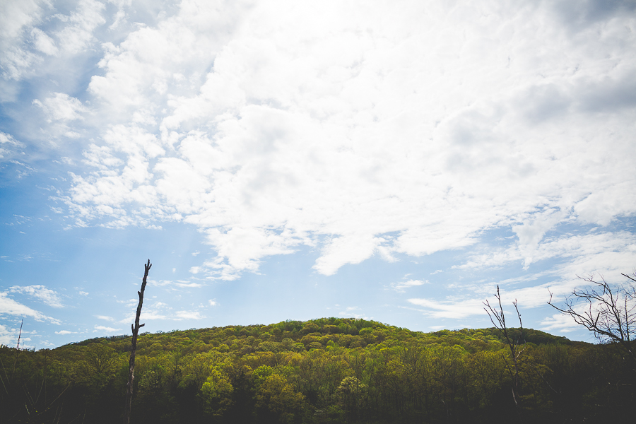 Rose Wedding - Blog Post-9