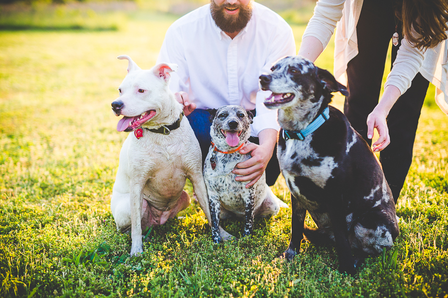 Southern Wedding Photographer in Arkansas - Allison and Mark - lissachandler.com -11 Engagements at Lake Fayetteville by NWA Wedidng Photographer Lissa Chandler , lissachandler.com