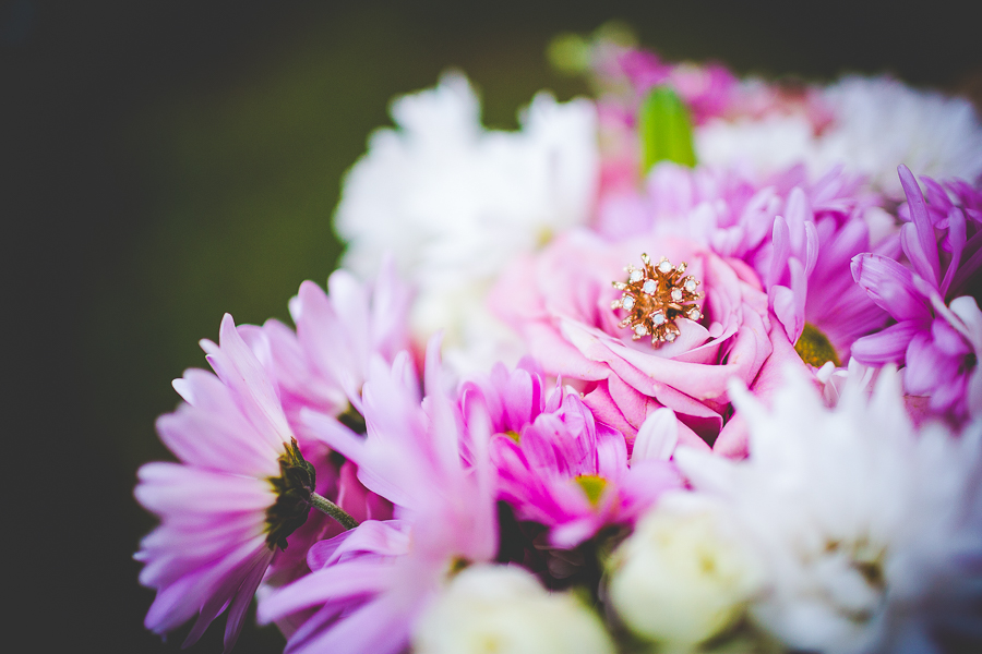 Madison - Summer Bridal Session in Arkansas - NWA Photographer -9 Wedding Photographer in Fayetteville AR, Creative Southern Wedding Photographer, lissachandler.com