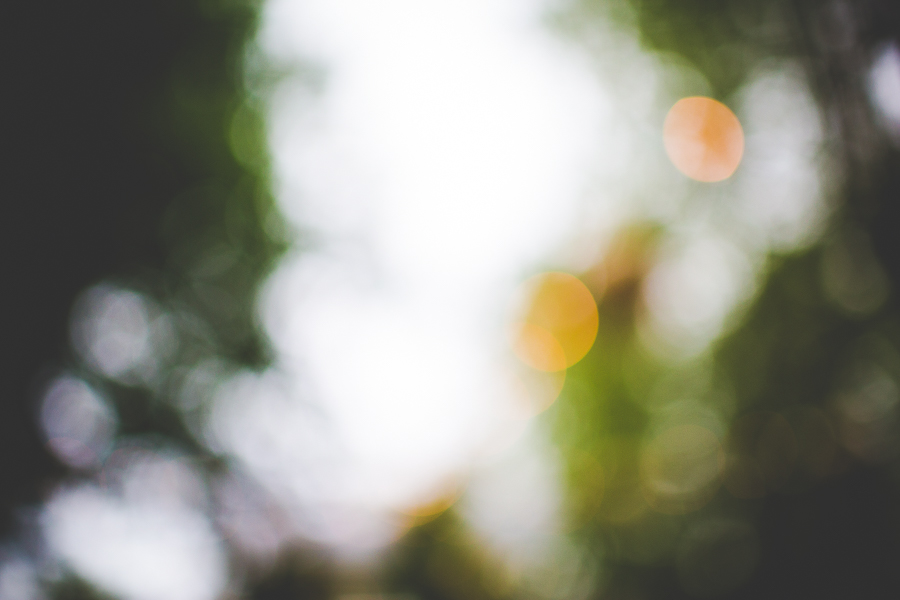 Magnolia Gardens in Springdale, Summer Wedding in Arkansas, lissachandler.com