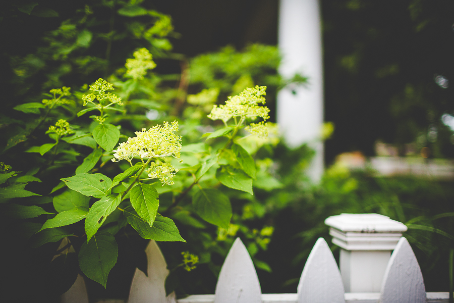 Fayetteville Family Photographer - Family Photographs in NWA