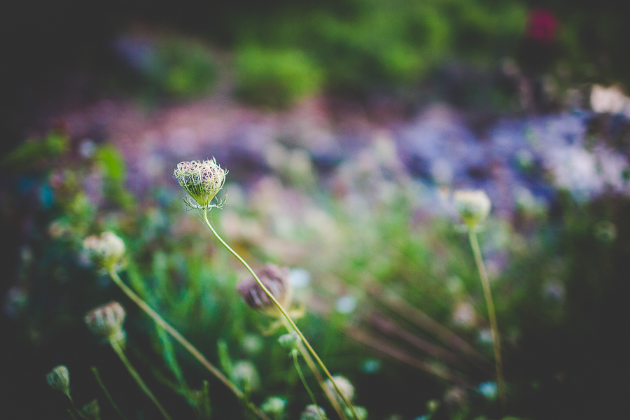 Alyssa - Senior Session in NWA, Fayetteville Senior Photographs, lissachander.com -11 Senior Pictures in Fayetteville AR - lissachandler.com