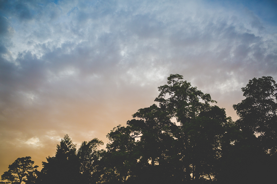 Sarah - Fayetteville AR Senior Pictures in NWA - lissachandler.fom -5