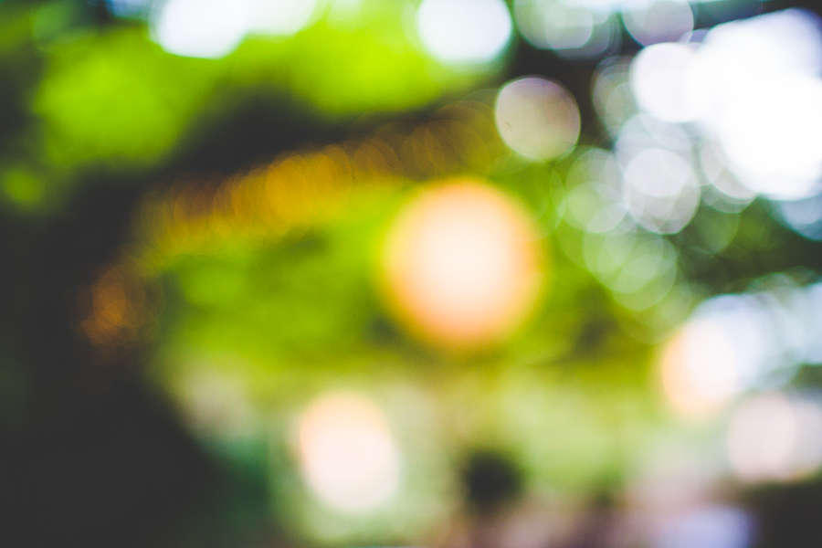 Arkansas Photographer in Fayetteville, AR Weddings, lissachandler.com