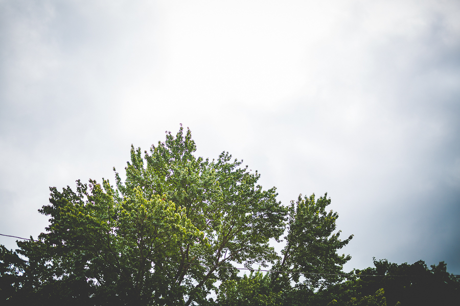 Wedding in New Jersey - AR Wedding Photographer - Erin and Brian -4