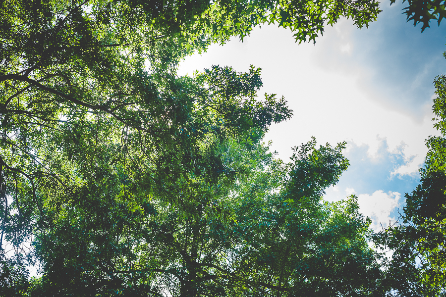 Wedding at Inn at Carnhall Hall - Fayetteville Wedding Photographer - lissachandler.com -14 NWA Wedding Photographer in Fayetteville