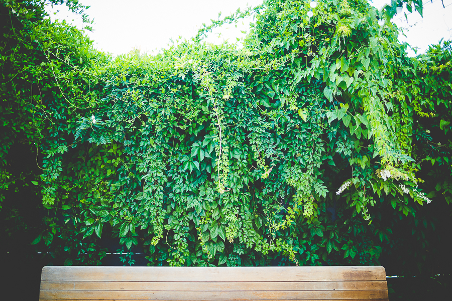 Wedding at Fairlaine Station Springdale - AR Wedding Photographer -4 Creative Southern Wedding Photographer