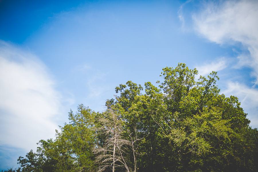NWA Wedding Photographer in Fayetteville - AR Wedding Photographer - Molly and Chris-1 Arkansas Wedding Photographer in the South