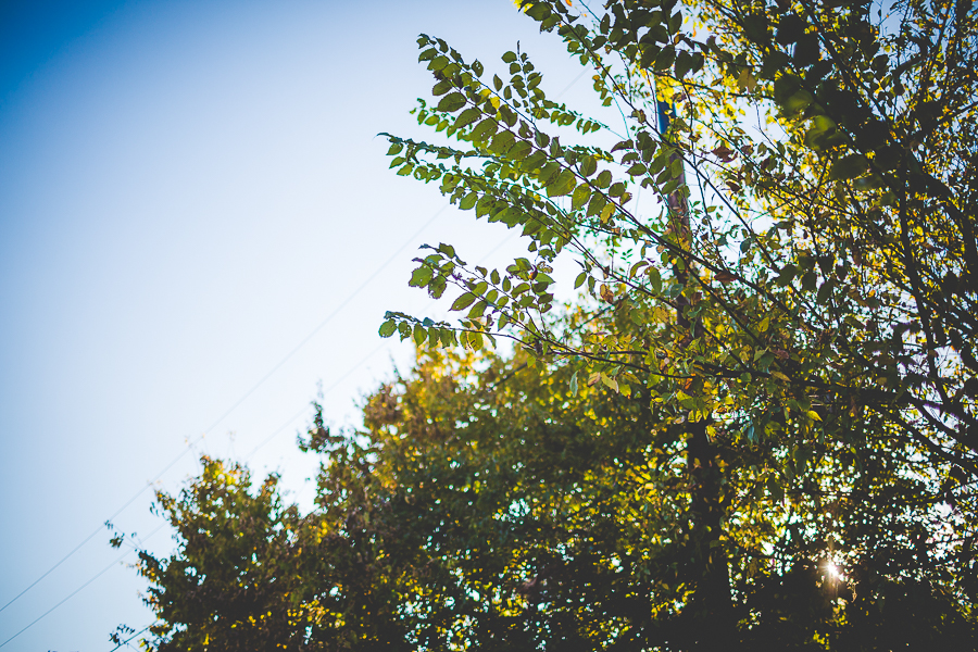 NWA Family Photography in Arkansas - In Home Family Session - Canem - lissachandler.com -12 Family Photographs Taken at Home, Fayetteville AR