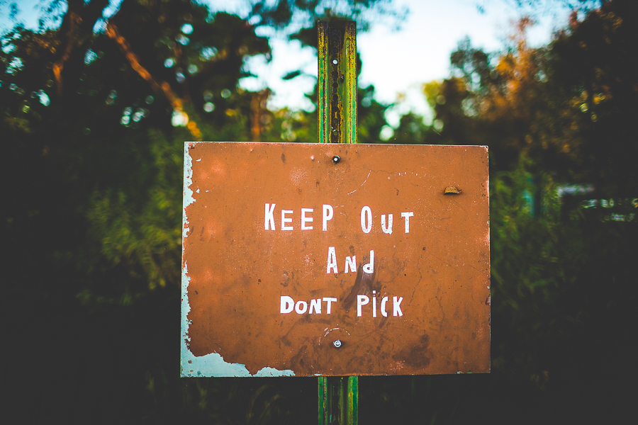 Fall Engagement Photographs in Fayetteville AR - Hattie and Rob - lissachandler.com -13 NWA Engagement and Wedding Photographer Lissa Chandler
