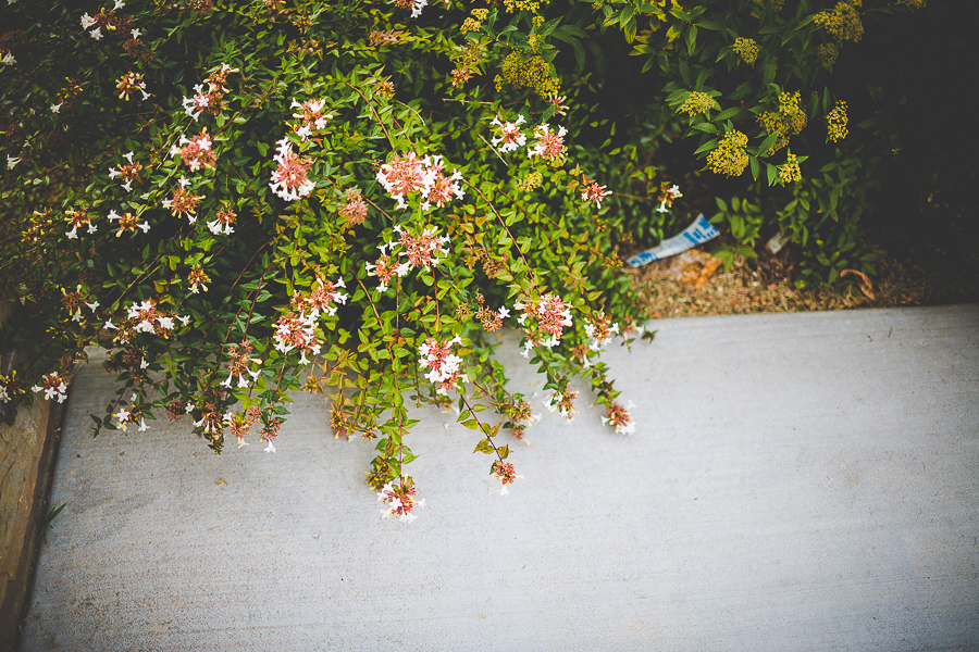 Simple and Cute Arkansas Wedding in September