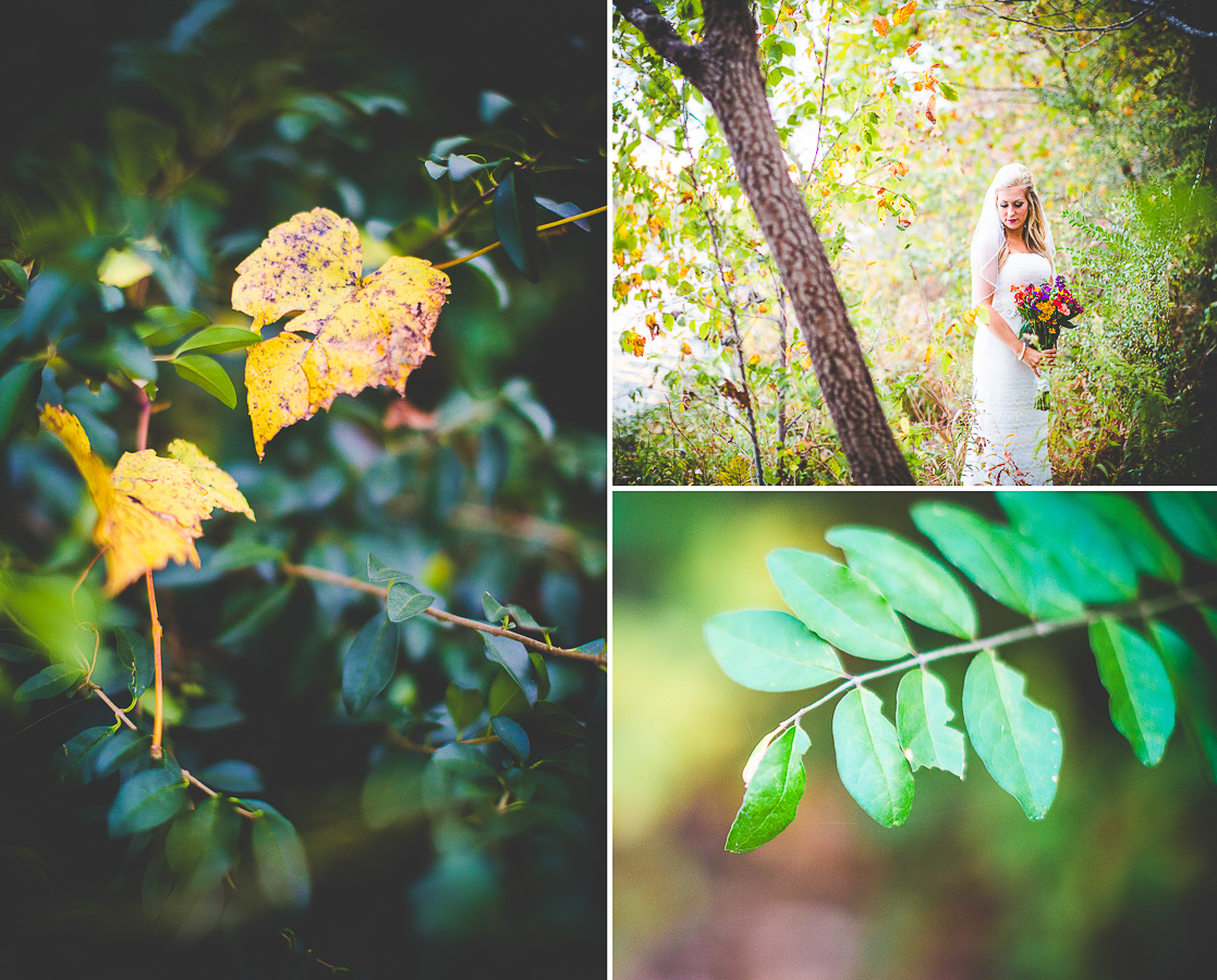 Happy Wedding Photographs in Arkansas, Lissa Chandler Photography