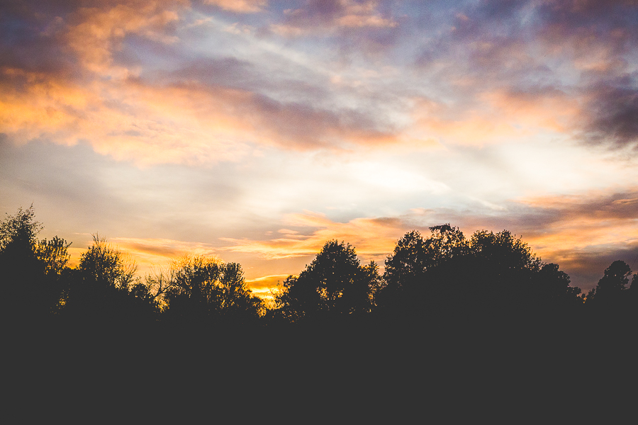 Happy Wedding Photographs in Arkansas, Lissa Chandler Photography