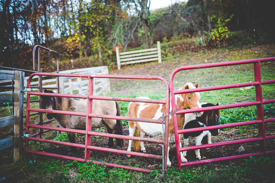 End of the Year Blog Post - lissachandler.com-11