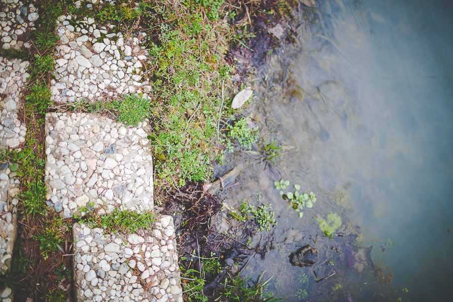 End of the Year Blog Post - lissachandler.com-25