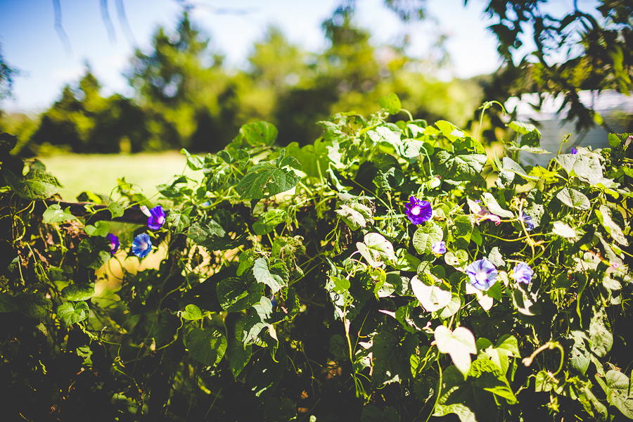 Northwest Arkansas Wedding Photographer in Fayetteville