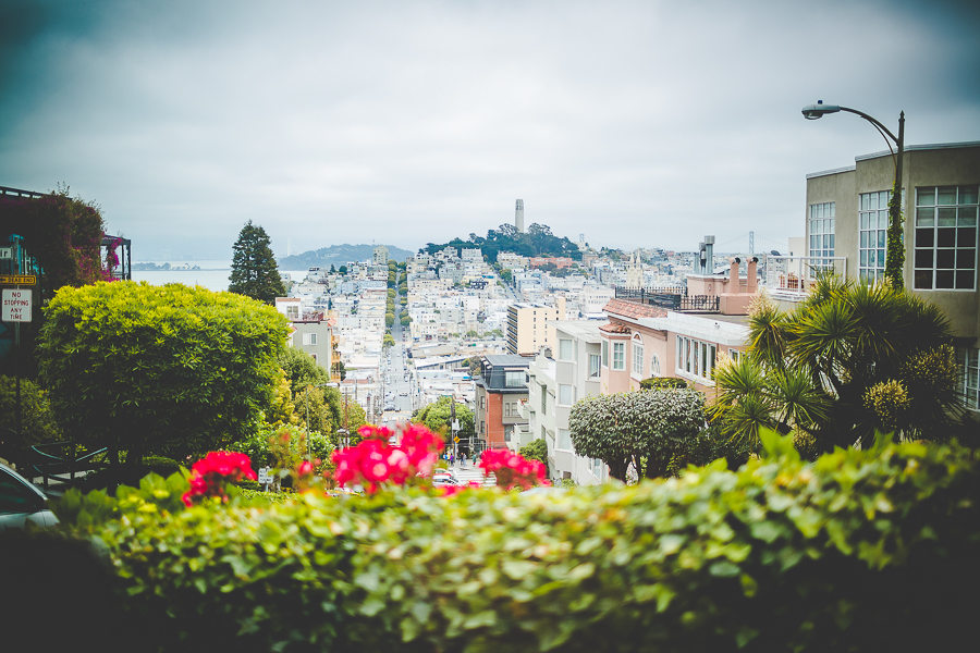 San Francisco Blog Post - lissachandler.com -13