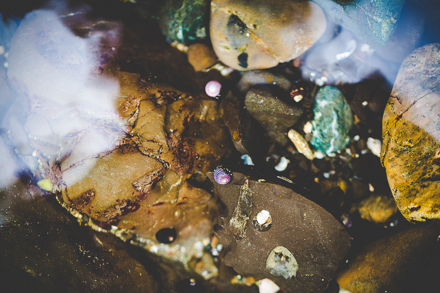 San Francisco Blog Post - lissachandler.com -19 San Francisco Beach by Arkansas Photographer Lissa Chandler