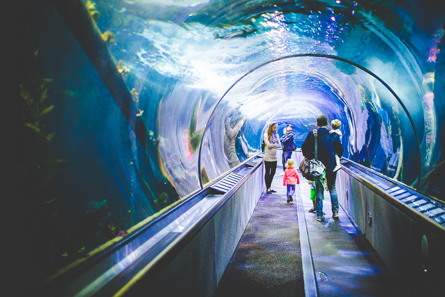 San Francisco Blog Post - lissachandler.com -21