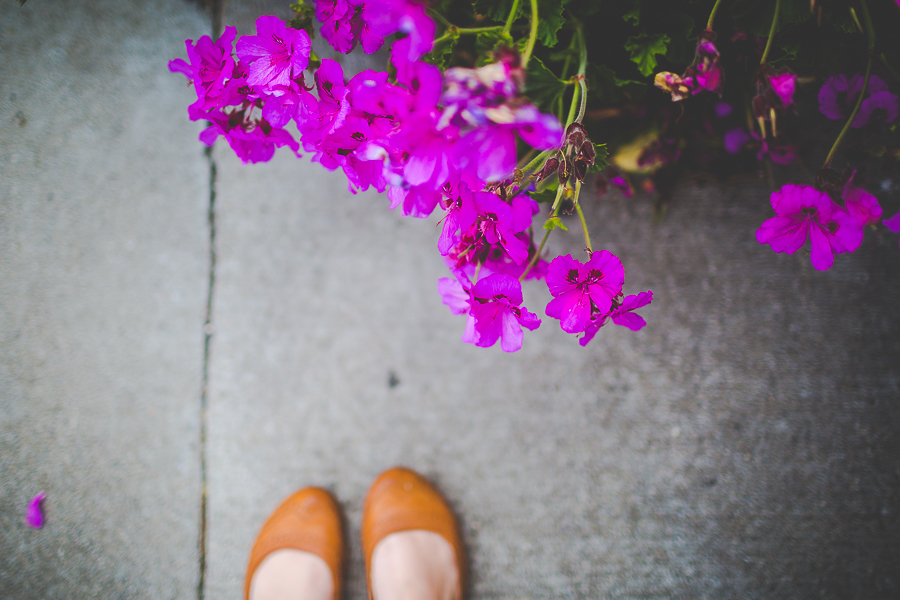 San Francisco Blog Post - lissachandler.com -25