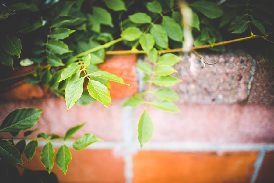 San Francisco Blog Post - lissachandler.com -27