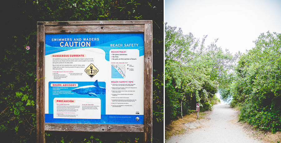 San Francisco Blog Post - lissachandler.com -37 San Francisco Beach by Arkansas Photographer Lissa Chandler