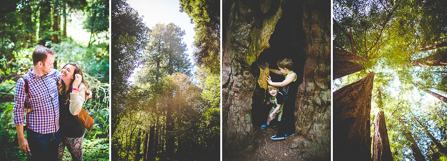 San Francisco Blog Post - lissachandler.com -39 The Redwoods by NWA Photographer Lissa Chandler