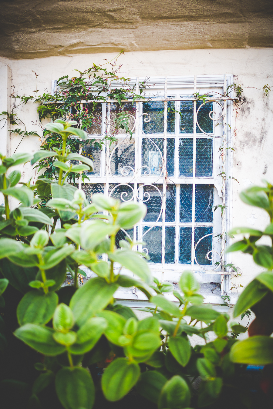 San Francisco Blog Post - lissachandler.com -4-2