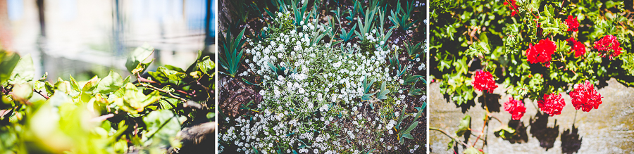 San Francisco Blog Post - lissachandler.com -44