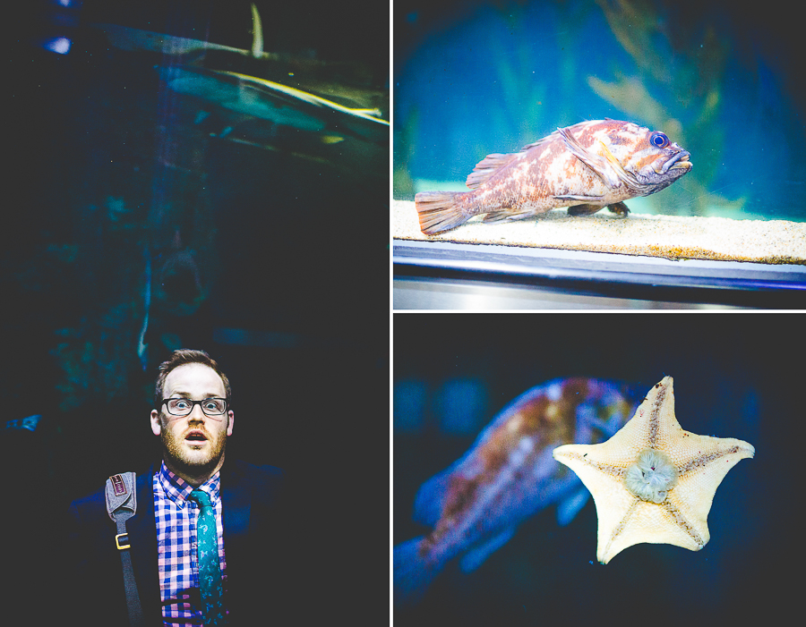 San Francisco Blog Post - lissachandler.com -52