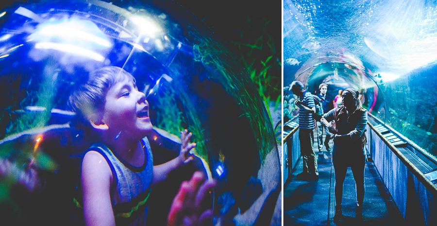 San Francisco Blog Post - lissachandler.com -53