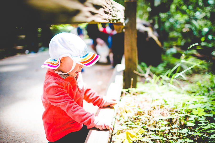 San Francisco Blog Post - lissachandler.com -6