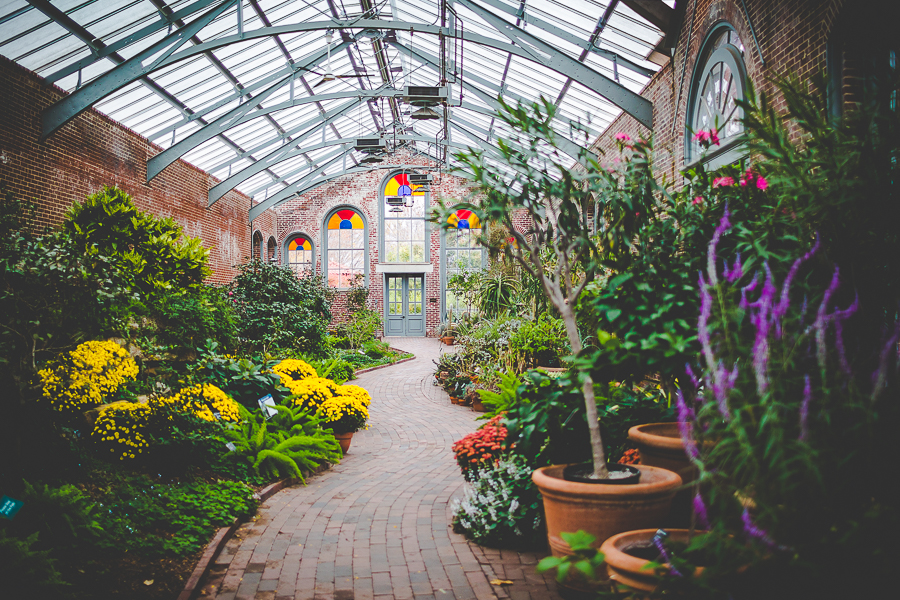 St Louis Botanical Garden Wedding - MO Wedding Photographer - lissachandler.com -18 St Louis Wedding