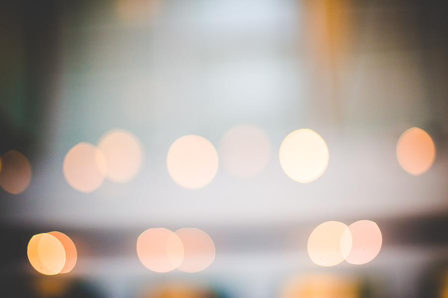 St Louis Botanical Garden Wedding - MO Wedding Photographer - lissachandler.com -29 Destination Wedding Photographer