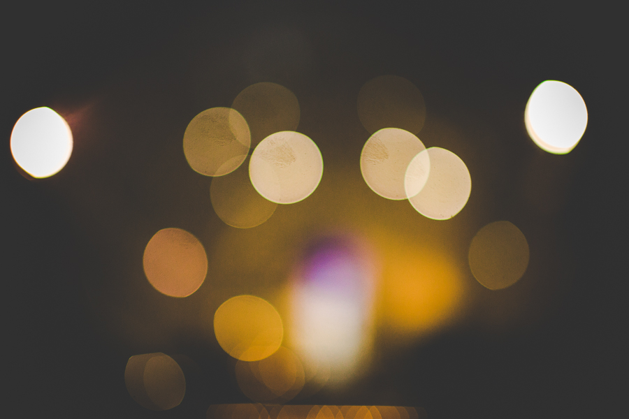 St Louis Botanical Garden Wedding - MO Wedding Photographer - lissachandler.com -33