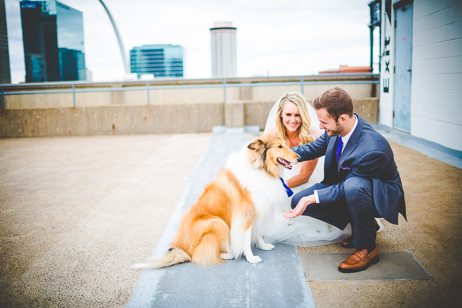 St Louis Botanical Garden Wedding - MO Wedding Photographer - lissachandler.com -9 Missouri Wedding Photographer