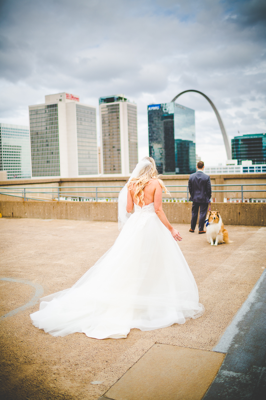 Wedding at the Missouri Botanical Gardens - Midwest Wedding Photographer-2 Destination Wedding Photographer, St Louis Arch Wedding Photo