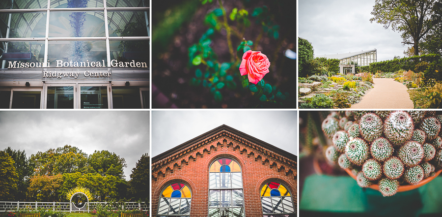 Wedding at the Missouri Botanical Gardens - Midwest Wedding Photographer-22 Rose Garden Wedding at Missouri Botanical Garden
