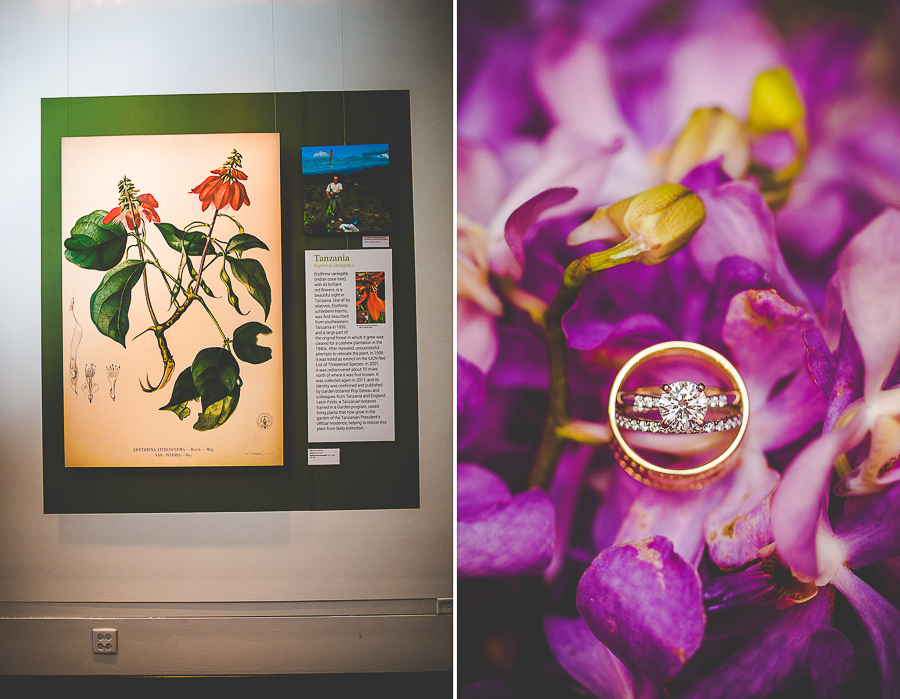 Wedding at the Missouri Botanical Gardens - Midwest Wedding Photographer-43 Rose Garden Wedding at Missouri Botanical Garden