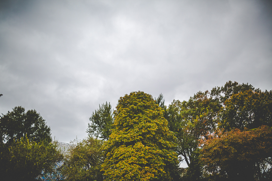 Wedding at the Missouri Botanical Gardens - Midwest Wedding Photographer-5 Destination Wedding Photographer