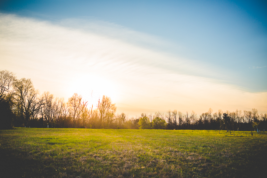 Krysten and Dylan - Couples Photographer in NWA - lissachandler.com-9 NWA Engagement Photographs, lissachandler.com