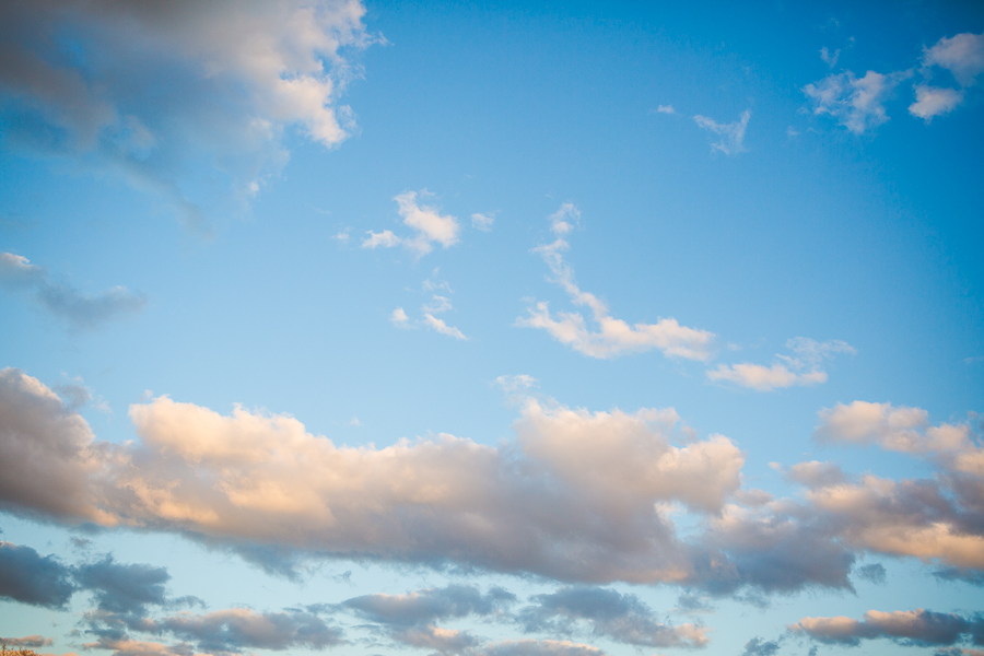 NWA Couples and Wedding Photographer, Springtime Engagement Photographs in a forest
