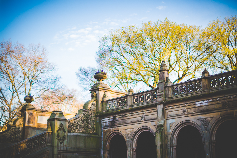NYC Central Park Photographer