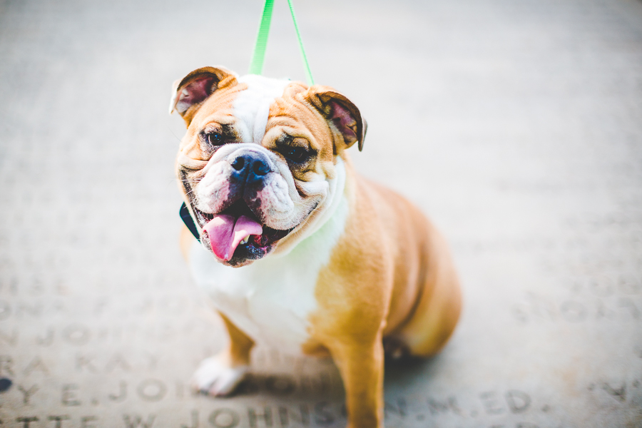 NWA Senior Photographer, Lissa Chandler Photography