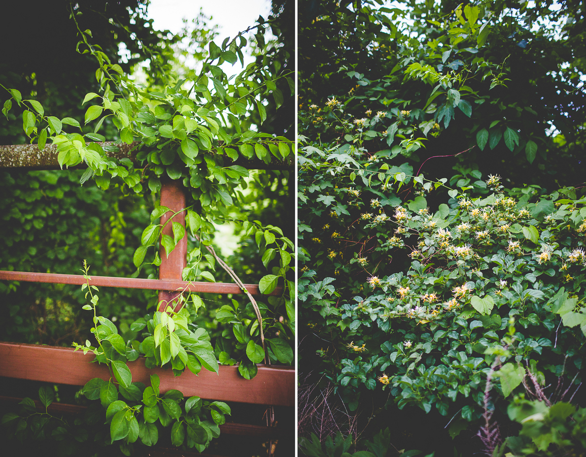 Engagement Session at Lake Fayetteville - Catherine and Jim - lissachandler.com -20 NWA Wedding Photographer in Fayetteville, Engagement Photographer in Northwest AR