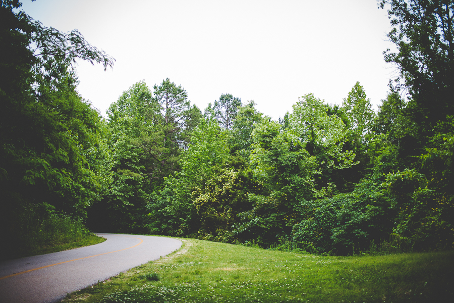 Engagement Session at Lake Fayetteville - Catherine and Jim - lissachandler.com -6 NWA Wedding Photographer in Fayetteville, Engagement Photographer in Northwest AR