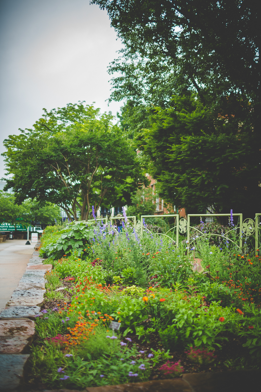 Rainy Elopement in Fayetteville, lissachandler.com